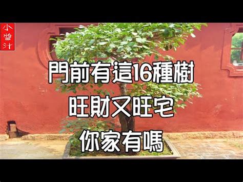 門口種芙蓉|芙蓉樹種在門前有好嗎，正門種芙蓉樹，對風水有影響嗎